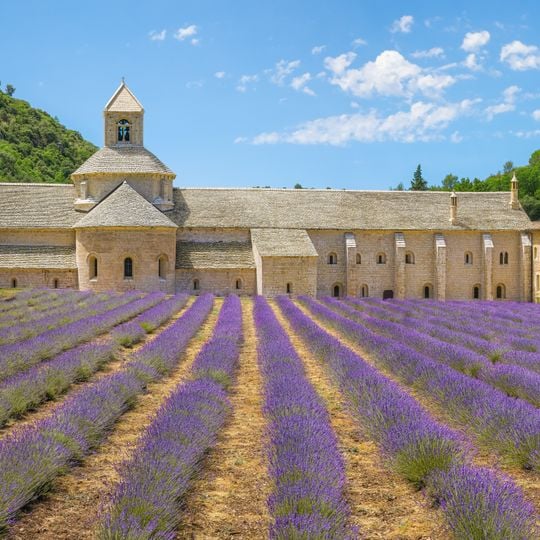 Abbazia di Sénanque