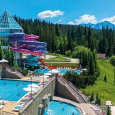 Terma Bukovina