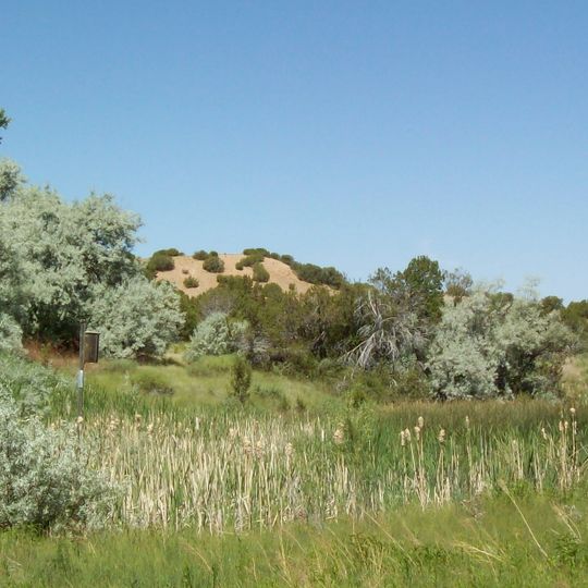 Leonora Curtin Wetland Preserve