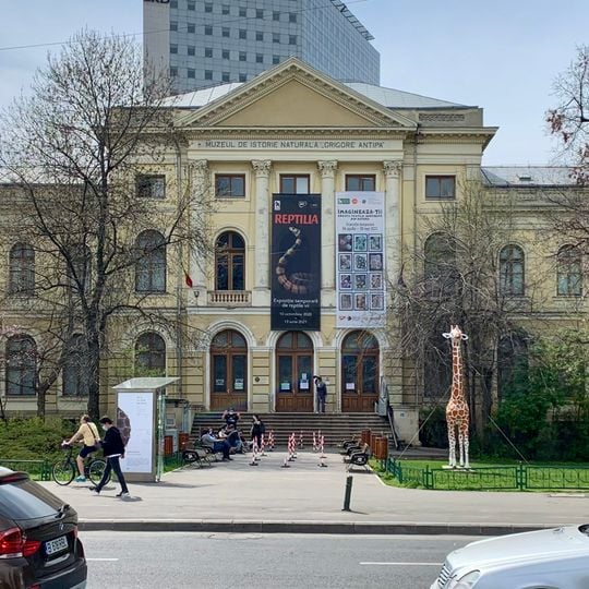 Musée national d'histoire naturelle « Grigore Antipa »