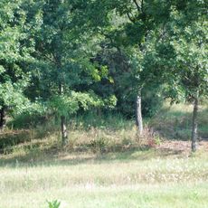 Mukwonago Park
