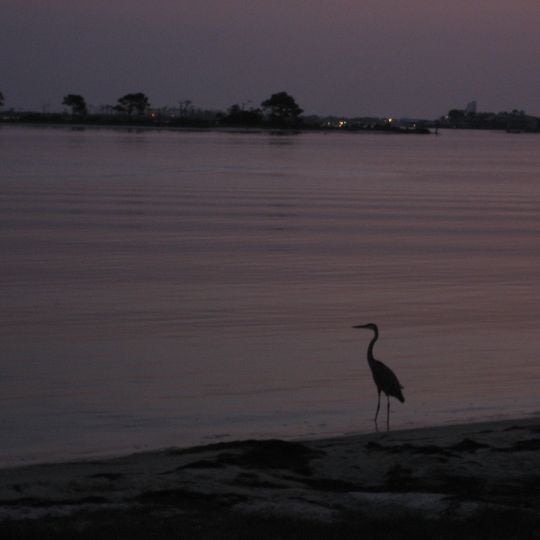Perdido Key
