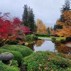 Momiji Garden