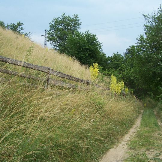 Toužínské stráně