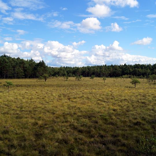 Rezerwat przyrody Torfowisko Pobłockie