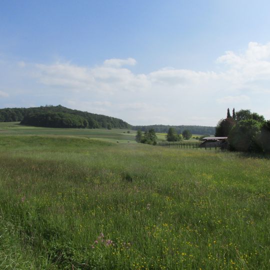 Maculinea-Schutzgebiet bei Neustadt