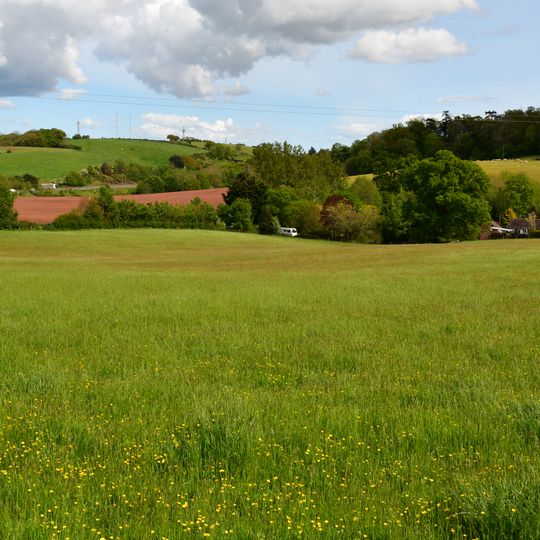 Enclosures NE of Peamore Cottage