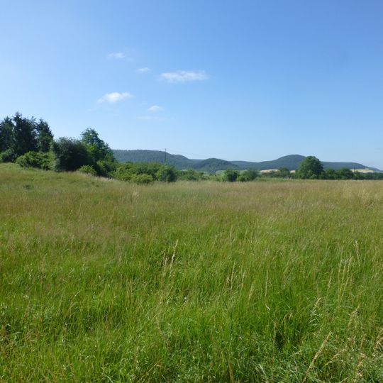 Leinetalhänge westlich Heiligenstadt
