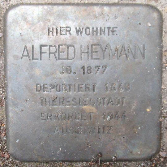 Stolperstein dedicated to Alfred Heymann