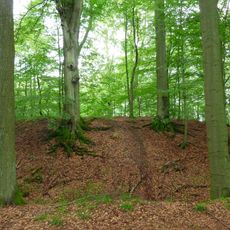 Vogelschutzgebiet Egge