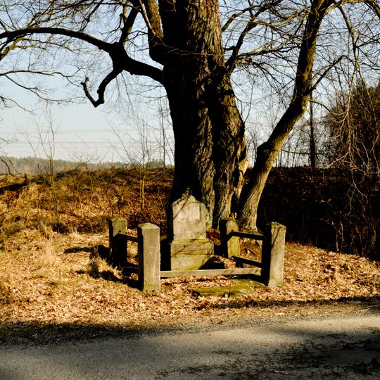 Lípa u silnice Blíževedly – Rašovice