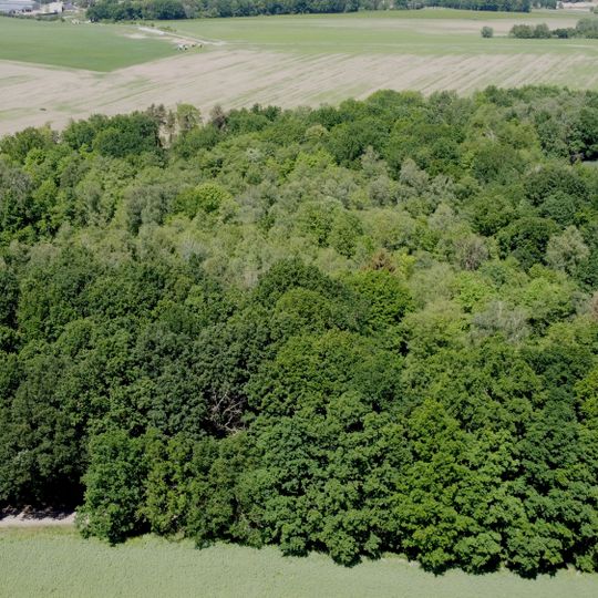 Brandrübeler Moor