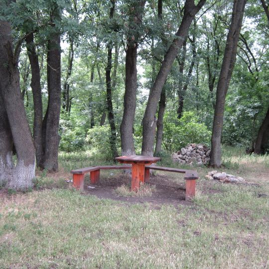 Raukhivka municipality