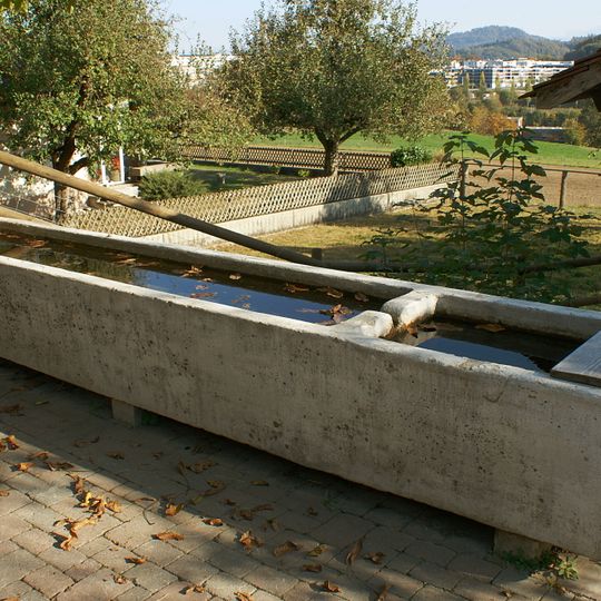 Fountain Riedernstrasse 53