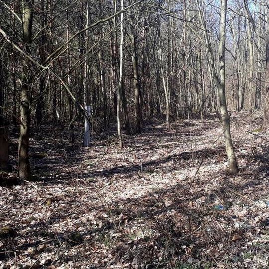 Kříž severně od Blatnice