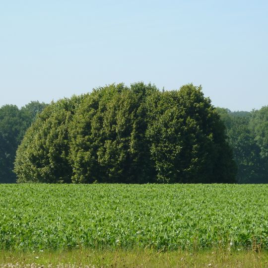 Tumulus de Havelange
