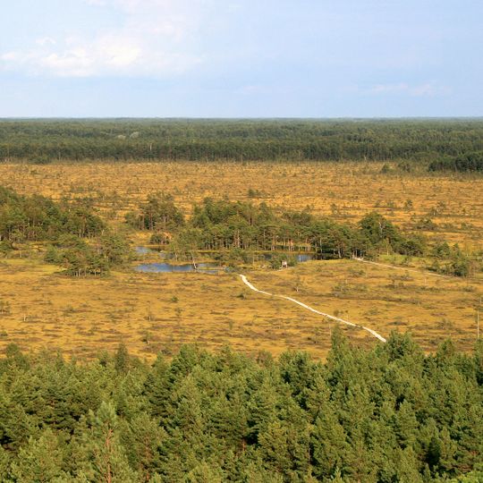 Tolkuse Bog