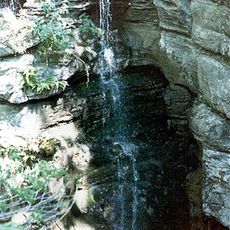 Newsome Sinks Karst Area