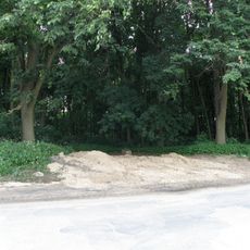 Cmentarz żydowski w Zwoleniu