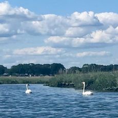 Charles E. Wheeler Wildlife Management Area