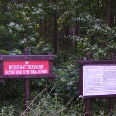 Nature reserve Buczynowe Wąwozy