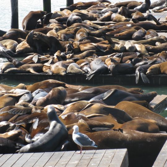 Piers in San Francisco