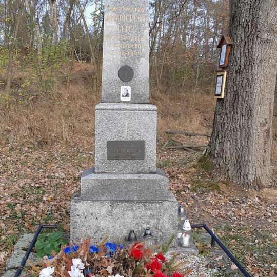 Pomník americkému letci