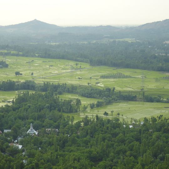 Verinag