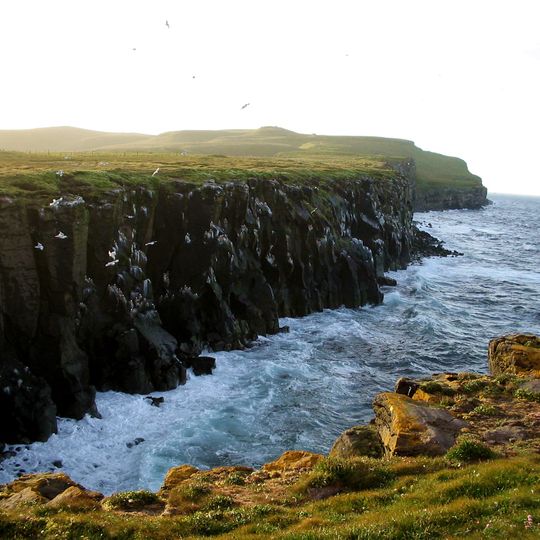 Grímsey