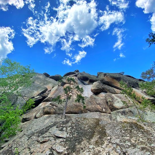 Natural Monument "Hill «Review»"