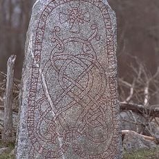 Uppland Runic Inscription 1041