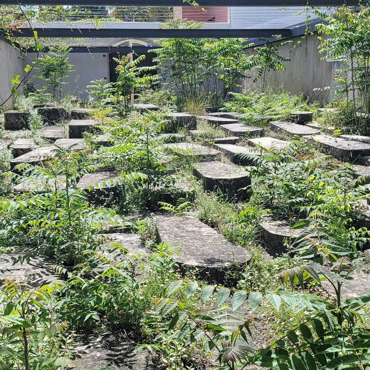 Estrela Jewish Cemetery