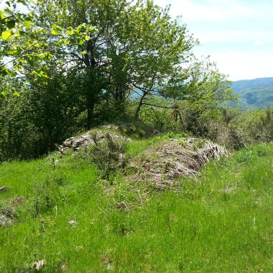 Via Francesca della Sambuca