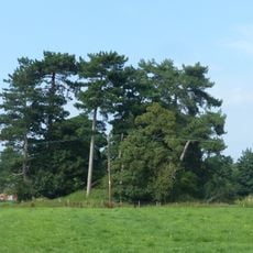 Bowl barrow 120m north-east of Rose Farm