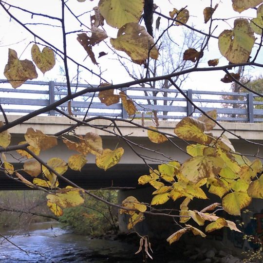 Division Avenue–Plaster Creek Bridge