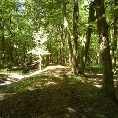 Nature reserve Bielawy