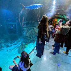 SEA LIFE Orlando Aquarium