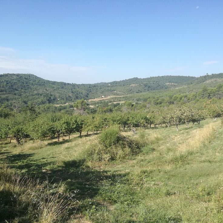 Domaine de la Thomassine