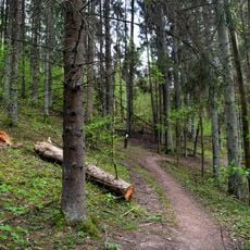 Plokščiai hillfort