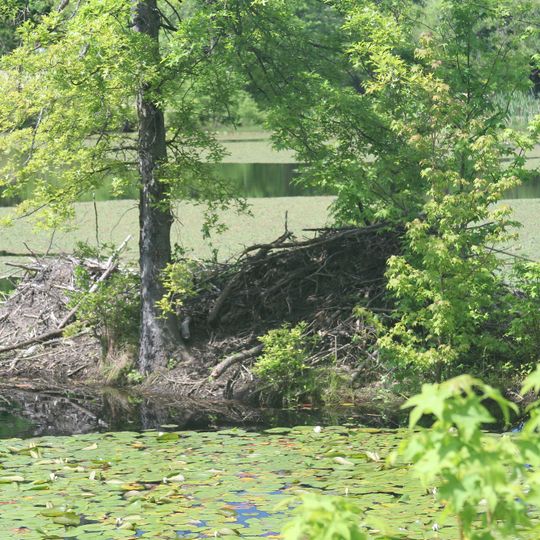 Piney Orchard Nature Preserve