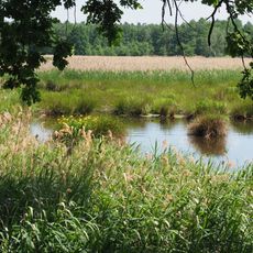 Vierteich Freitelsdorf