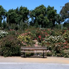 San Jose Municipal Rose Garden