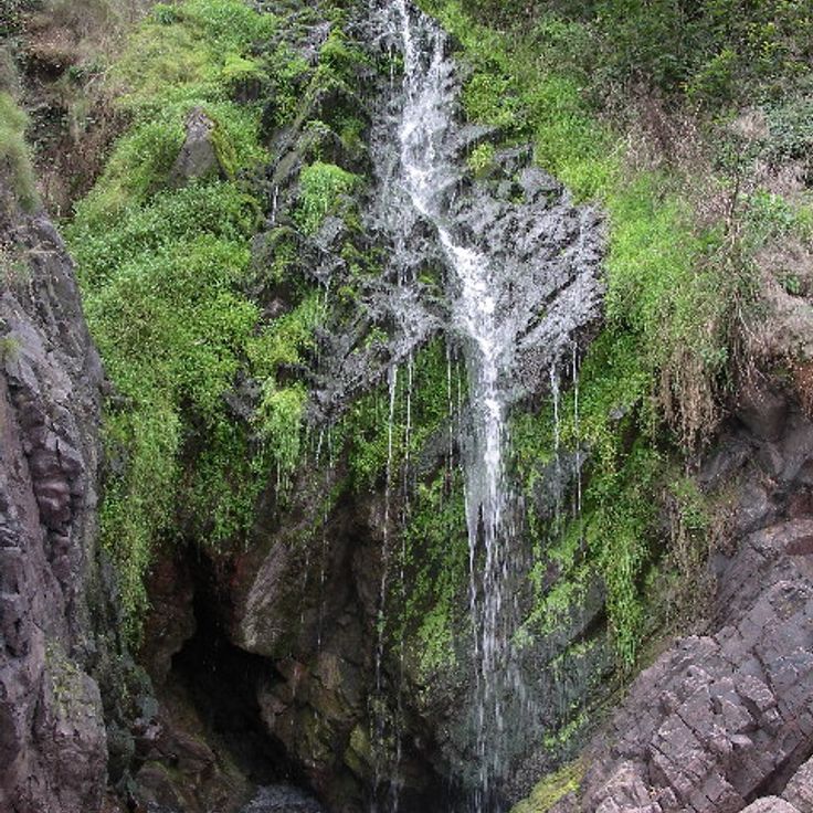 Clovelly Waterfall