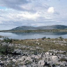 Lough Bunny