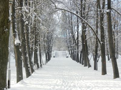 Winter 0