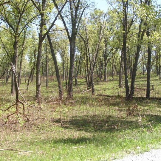 Conrad Savanna Nature Preserve