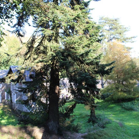 Château de Castillon