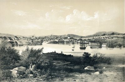 Immagine alternativa