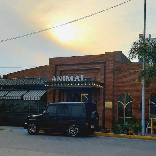 Animal Puebla