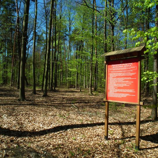 Nature reserve Bukowa Góra